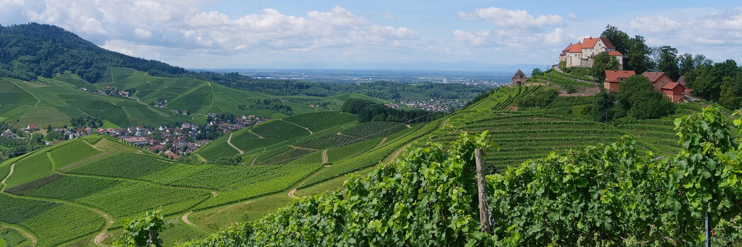 News und Inspiration für das Bundesland Baden-Württemberg